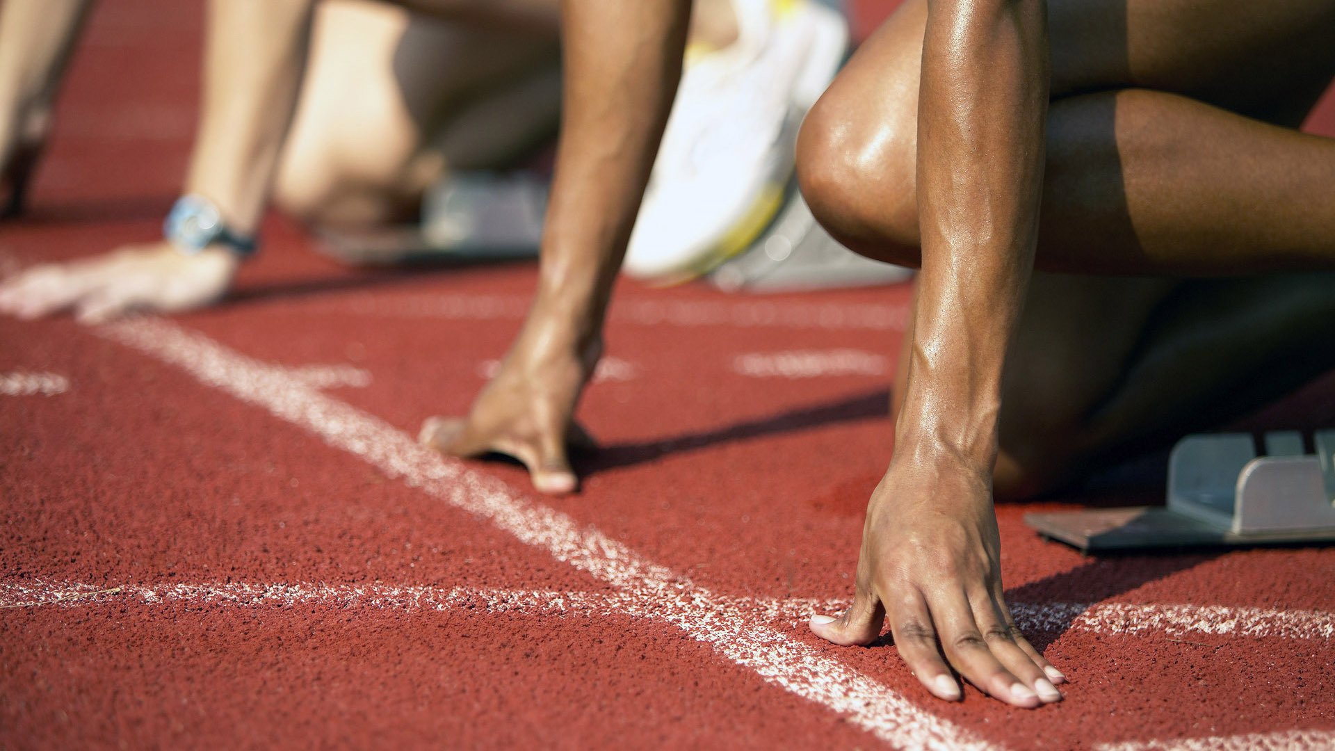 高校体育专业人才培养质量保障体系，体育人才培养方案心得体会