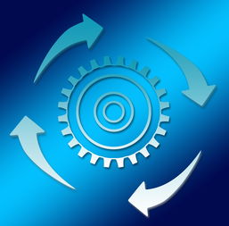 体育新闻中心启动体育内容原创人才培养专项，体育新闻专题报道