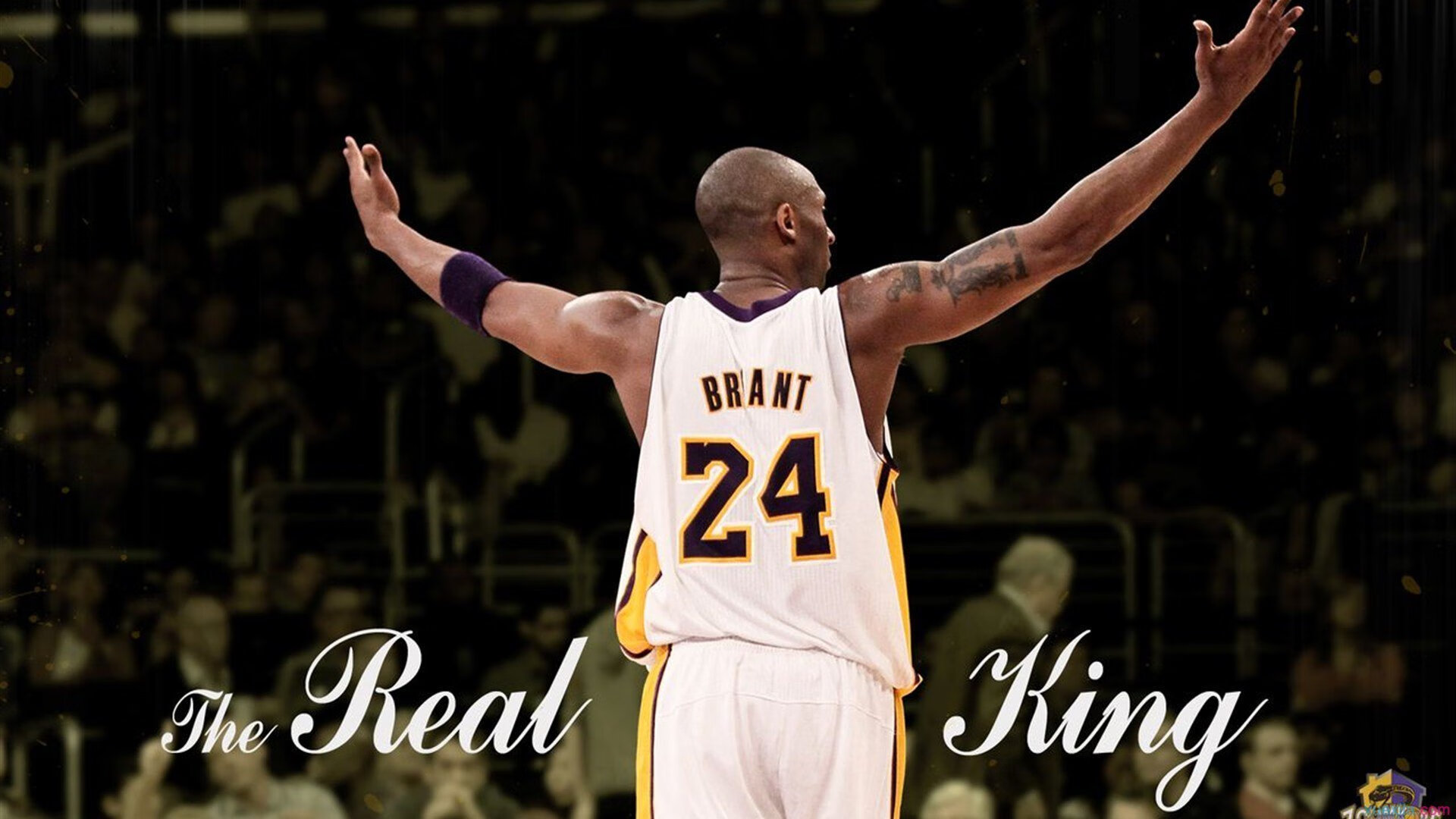 技术数据展示该项目选手潜力巨大，技术展现